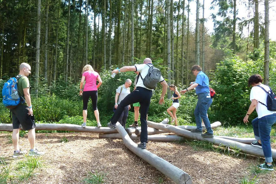 Eine Gruppe von Menschen balanciert auf Baumstämmen im Wald und genießt die Natur um sie herum.