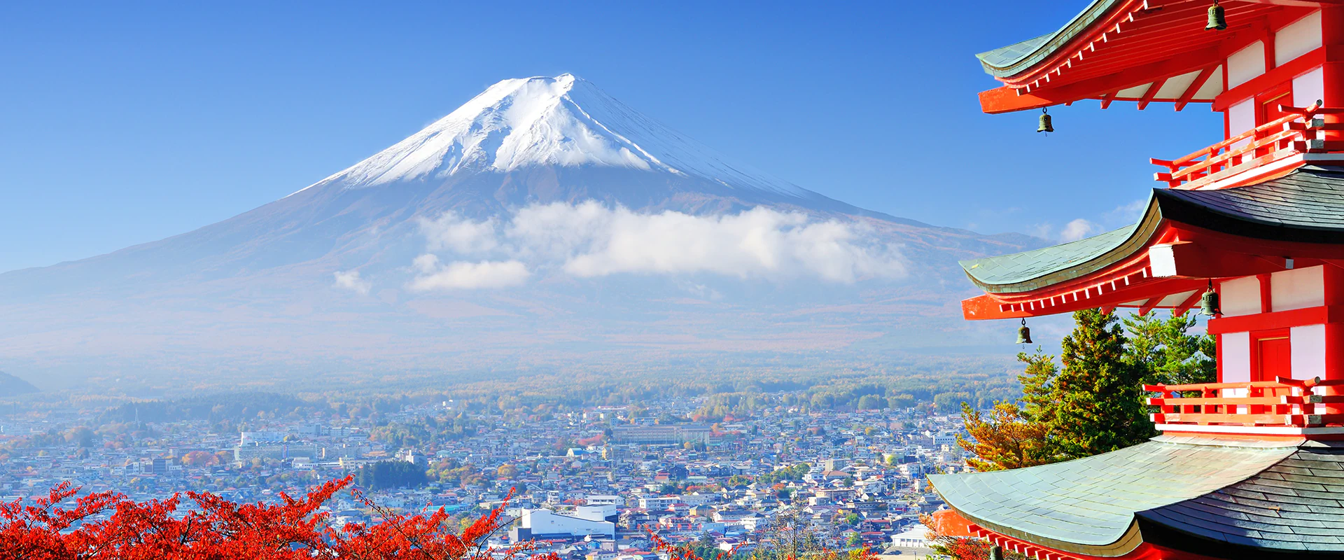 OPIE Japan 2026 OPIE Japan 2026